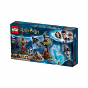 LEGO Harry Potter Ave zavetnikum (75945) 