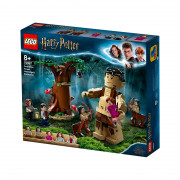 LEGO Harry Potter Prepovedani gozd: Temna dobi, kar ji gre (75967) 