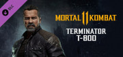 Mortal Kombat 11 Terminator T-800 (Steam key) (Downloadable) 