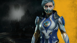 Mortal Kombat 11 Frost (PC) Downloadable (Steam key) PC