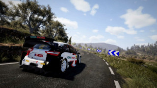 WRC 10 FIA World Rally Championship (Downloadable) PC