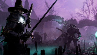 Warhammer: Vermintide 2 Winds of Magic DLC (PC) Downloadable (Steam key) PC