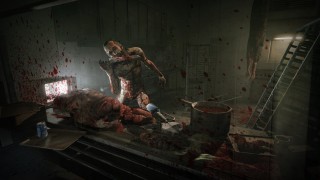 Outlast: Whistleblower DLC (PC) Steam (Downloadable) PC