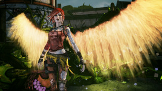 Borderlands 2: Commander Lilith & the Fight for Sanctuary (PC) Steam (Download) PC