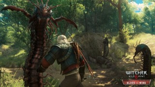 The Witcher III: Wild Hunt - Prepustnica za razširitev (PC), ki jo je mogoče prenesti PC