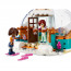 LEGO Friends: Počitnice v iglu (41760) thumbnail