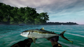 Ultimate Fishing Simulator (PC) Prenos PC