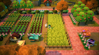 Fae Farm Nintendo Switch