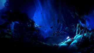 Ori and the Will of the Wisps Nintendo Switch