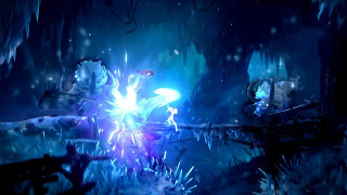 Ori and the Will of the Wisps Nintendo Switch