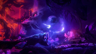 Ori and the Will of the Wisps Nintendo Switch