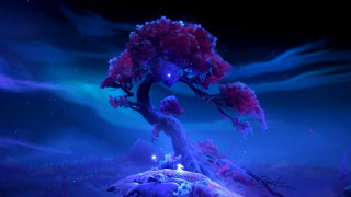 Ori and the Will of the Wisps Nintendo Switch